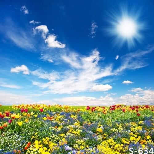 Digital Printed Vinyl Backdrops for Photography Baby Shower Background Studio Custom Camera fotografia