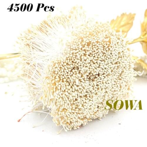 New 4500pcs/Lot 1mm Ivory Color Flower Stamen Pistil Cake Decoration Craft DIY Wedding Decoration