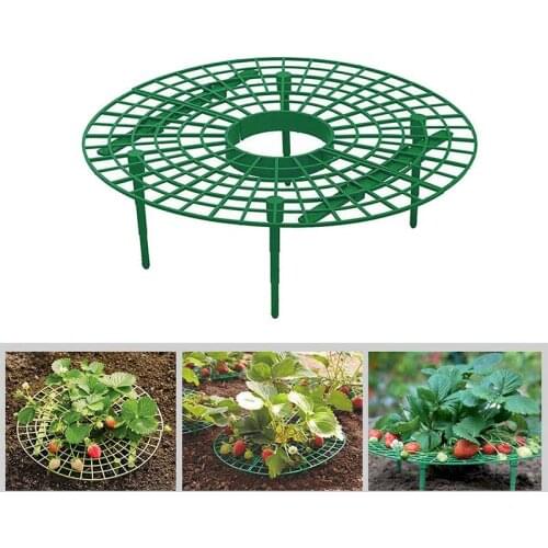 5pcs Circle Plant Support Strawberry Growing Plastic Rack Farming Improve Harvest Frame Gardening Stand Tools 30cm Diameter
