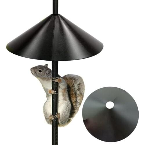 CMinYP Parrot Perches