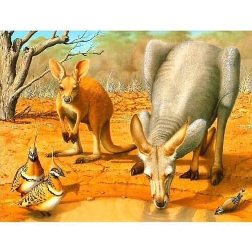 5D DIY NEW Animals Round Diamond Painting Full Kangaroo&birds Embroidery Cross Stitch Mosaic Square Rhinestone Home Decor Gift