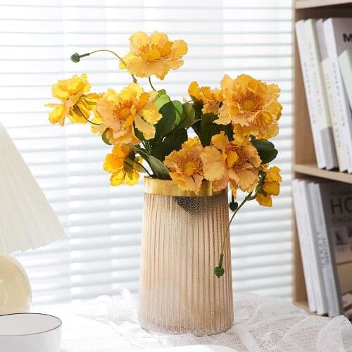 Glass Tall vase Modern Home Decor Flowers Hydroponics Household Living Room Decoration Minimalist Office Tabletop Decor Gift