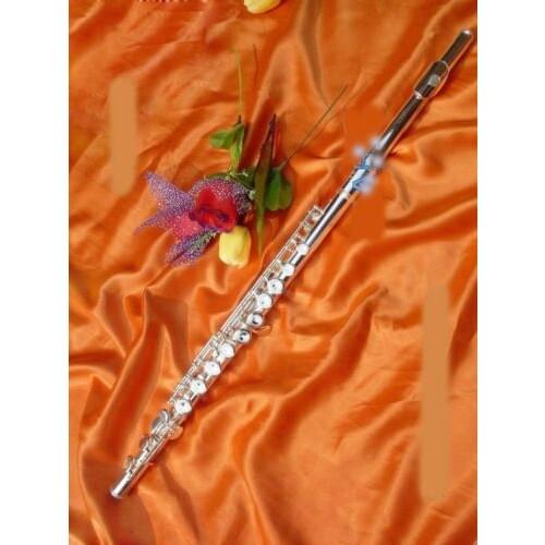 Open 16 hole flute kit C foot E key Off line stick+grease+caps+ case C key