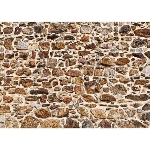 Irregular Stone Wall Photographic Background Vinyl Cloth Backdrops for Children Portrait Photo Shootings Props