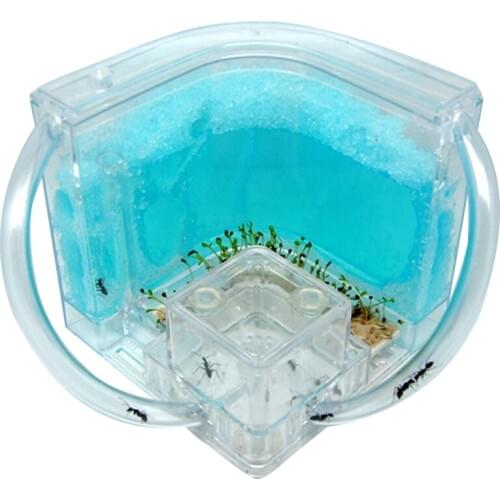 DIY Moisture with Feeding Area Ant Nest Ant Farm Ant Nests Villa Pet for House Ants Ant Workshop Ant Nest Science Educational To