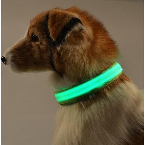 DINGEMANS Collars, Harnesses And Leashes