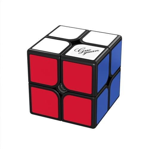 MoYu Guoguan Xinghen TSM 2x2x2 Magnetic Magic Cube Adjustable 2x2 Speed Cubing Series Professional Cubo Magico puzzle children