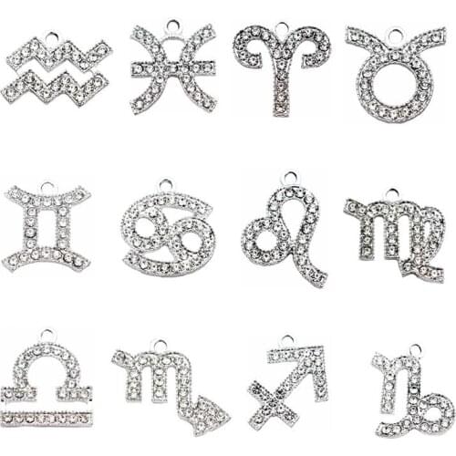 12pcs/lot Alloy 12 aquarius Crystal Dangle Charms Lobster Clasp Hanging Charm For Necklace Pendant Bangle Jewelry