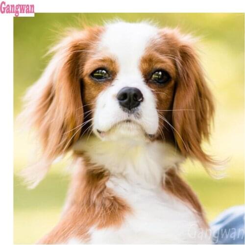 Diy cute pet daimond Embroidery dogs Cavalier King Charles Spaniel diamond mosaic 5d puppy Pattern diamond Painting kit hobby