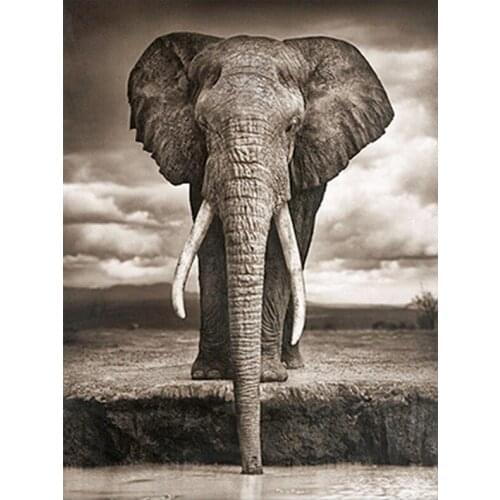 5D Diy Diamond Painting Cross Stitch Elephant 40*30cm Diamond Mosaic Animal Needlework Crafts Full Diamond Embroidery SSYP-140