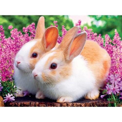 SenyuArt Diamond Painting Full Drill Square Round Cross Stitch Kits Mosaic Picture Animal Rabbit Rhinestone Craft Art Home Decor