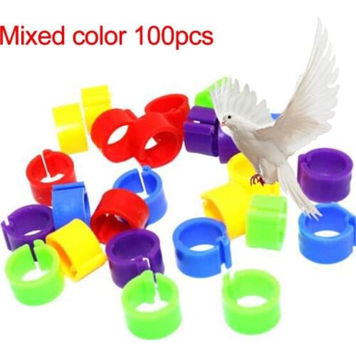 100Pcs Plastic Birds Poultry Duck Pigeons Dove Parrot Leg Foot Bands Clip Rings Suitable for various poultry birds hens ducks