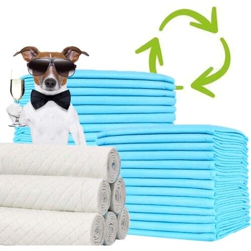 Dog training pads cats Perfumes with pheromones to attract puppies and simplify training
