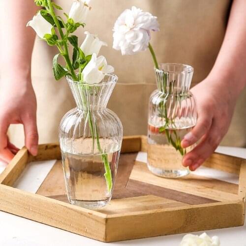 Glass Vase for Living Room Decor Handmade Water Hydroponics Table Ornaments Flowers Arrangement