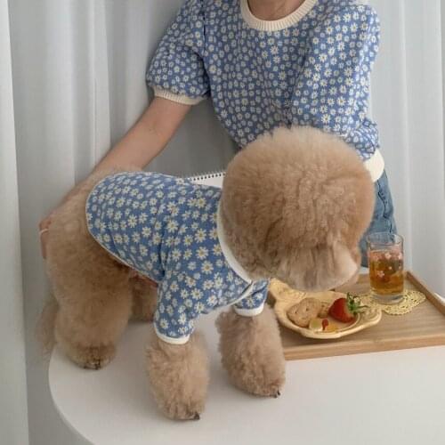 Winter Cute Dog Clothes Daisy Flower Warm Pet Clothes For Small Dogs Wool Dog Cardigan Sweater Cat Puppy Pets Clothing Outfit