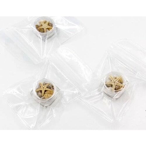 Small Natural Beach Seashell Starfish Nautical Decor Jewelry Glass DIY Fillers Nail Art Resin Fillings Jewelry Making