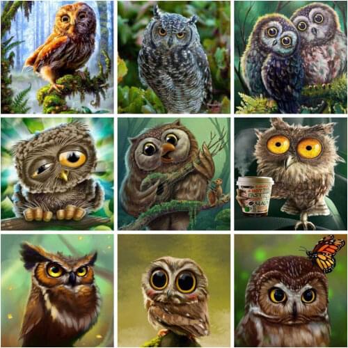 HUACAN 5D DIY Diamond Painting Owl Pictures Of Rhinestones Full Square/Round Diamond Embroidery Animal Mosaic Craft Kit