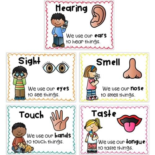 5 Pcs Five Senses English Words Posters Classroom Decoration posters Decor Homeschool Supplies Educational School Poster