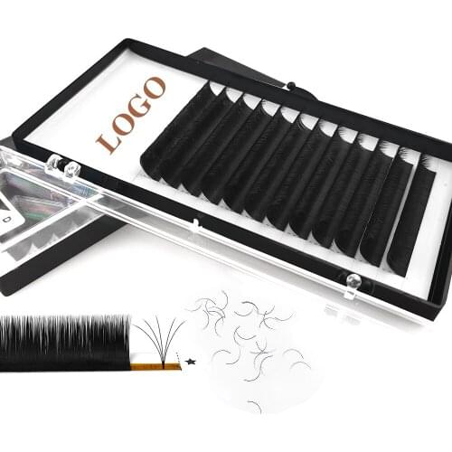 Individual Russian Volume Eyelashes C CC D Natural False Eyelashes Mink Classic Eyelash Lash Extension