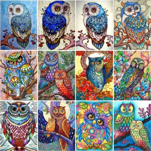 HUACAN Paint By Numbers Owl Wall Art Unique Gift Hand Painted On Canvas Acrylic Picture By Numbers Animal Childrens Room Decor