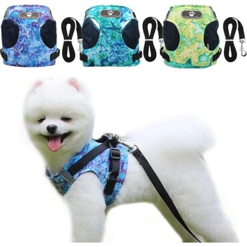 Printing Dog Cat Harness Leash Set Breathable Puppy Vest for Small Pet Medium Dogs Chain Reflective Walking Lead Leash Sets