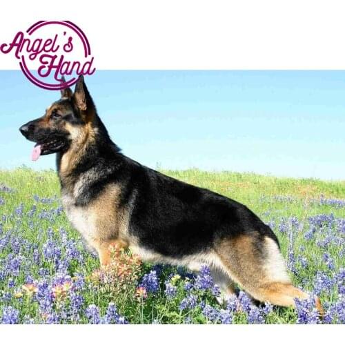 DIY,Full,Diamond Embroidery,German shepherd,photo custom,Diamond Painting,Cross Stitch,Diamond Mosaic,home Decoration,Christmas