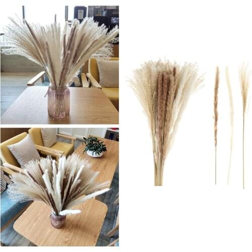 Flower Ear 20-25CM/Toal Length 40-45CM Real Dried Natural Pampas Grass Reed Flower Dry Small Bulrush Bouquet Home Decor Wedding
