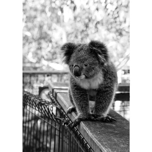 Round Diamond Painting 5D DIY Animal Koala Diamond Embroidery Cross Stitch Kit Handmade Gift Home Decoration