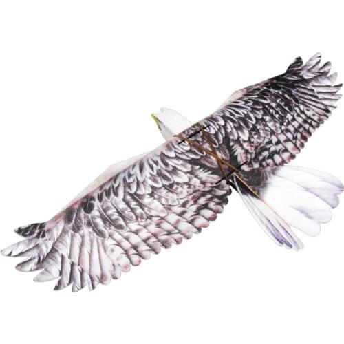 RC Plane EPP Airplane Model Mini Eagle RC Wingspan 1200mm Eagle EPP Slow Flyer