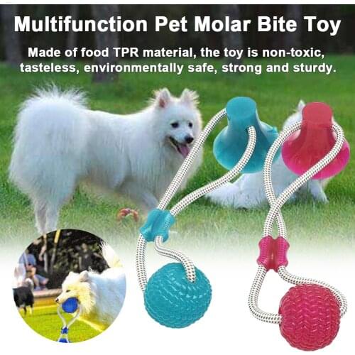Funny Pet Interactive Toy Self-playing Rubber Ball Toy With Suction Cup Dog Interactive Molar Chew Toy Teeth Cleaning Tool 4