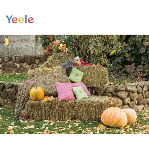Autumn Farm Yard Hay Block Pumpkin Baby Portrait Vinyl Backdrop Photography Backdrops Photographic Background For Photo Studio