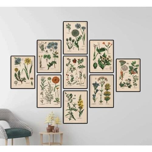 Herb Vintage Poster Herbs Flower Manuscript Russian Study Living Room Canvas Hanging Painting Canvas Wall Art Decor Art