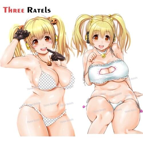 Three Ratels A114 Waifu BBW Super Pochaco Nitroplus Sexy Anime Girl Phone Laptop Guitar Suitcase Skateboard Bike Car Decal