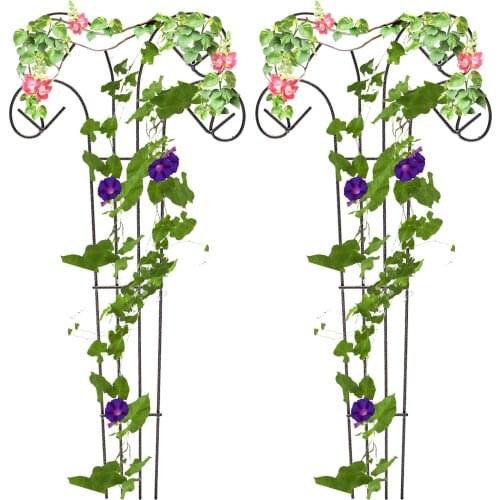 Plant Display Bracket Garden Plant Flower Vine Rack Wrought Iron Flower Stand Climbing Planter Trellis Grow Support Metal Flower