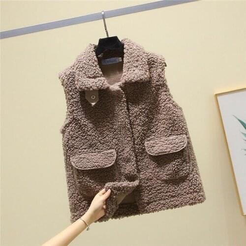 Autumn Winter 2021 Imitation Fur All-in-one Womens Vest Versatile Girls Vest Coat Casual Student College Fashion khaki