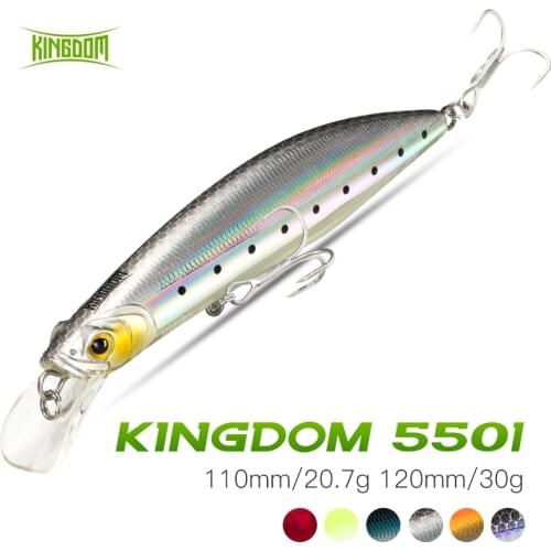 Kingdom Floating Minnow Fishing Lure 100mm/20.7g 120mm/30g Artificial Lures For Bass Jerkbait Fishing Wobbler For Pike Fishing