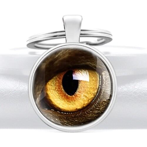 Eagle Eye Glass Dome Key Chains Charms Men Women Alloy Pendant Key Rings Jewelry Gifts