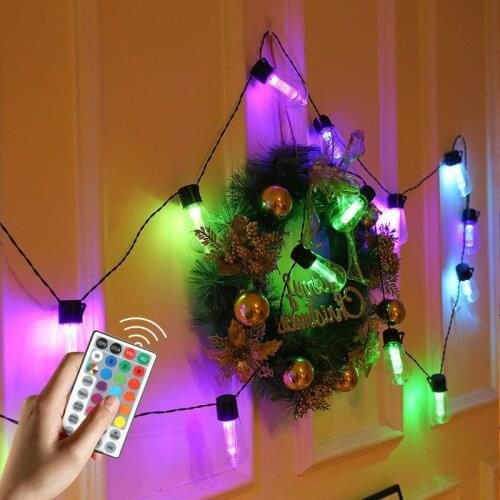 LED Holiday Light Bulbs PAMNNY China