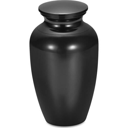Cremation Urn Stainless Steel Keepsake Memorial Funeral Urn Holder Ashes for Pet Human Casket Memorial Jewelry for Men Women