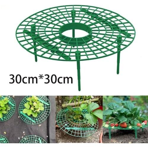 30cm Strawberry Plant Stand Frame Holder Fruit Support Plant Flower Climbing Vine Pillar Balcony Planting Rack Gardening Tool
