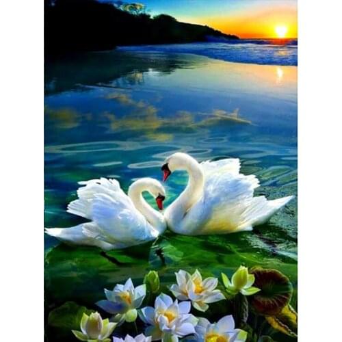 5D Diy Diamond Painting "White Swan" 3D Diamond Mosaic Full Square/round Diamond Embroidery Sale Crystal home decoration TY852