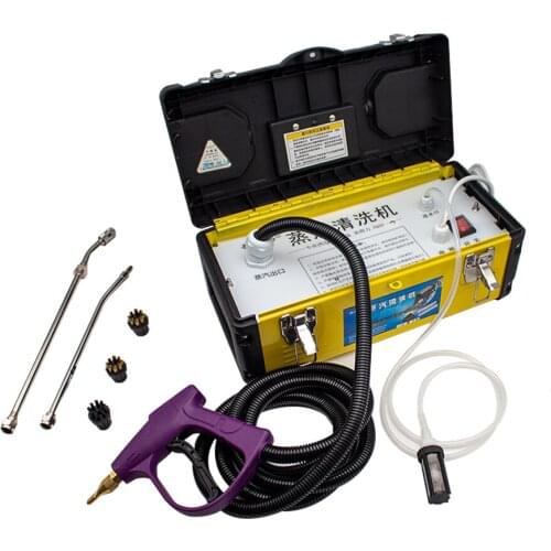 High Temperature High Pressure Electric Steam Cleaner Portable Commercial Appliance Range Hood Car Air Conditioner Clean Tool