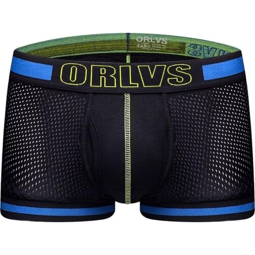 ORLVS New Sexy Men Underwear Boxer Breathable Mesh boxershorts men Male Underpants cueca Gay penis Man Panties Mens Trunks