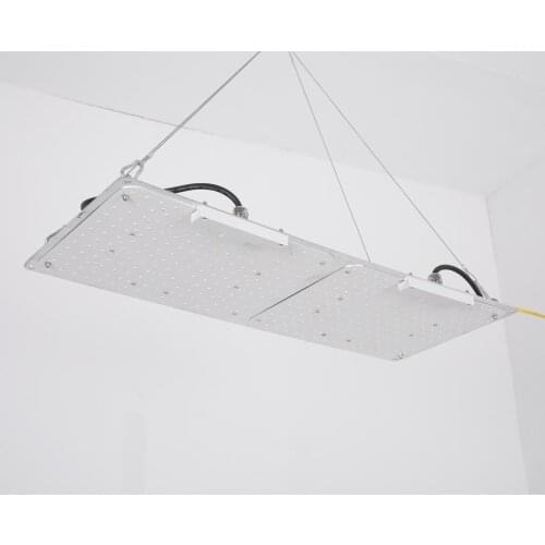 Toprainbow Plant Lamps