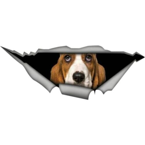 DasDecal Basset Hound Torn Metal Car Sticker Waterproof Decal Laptop Suitcase Truck Motorcycle Auto Accessories PVC,13cm*4cm