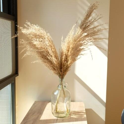 Pampas Grass Decor Natural Dried Flowers Plants Artificial Flowers Bouquet Easter Christmas Home Decoration Free Shipping