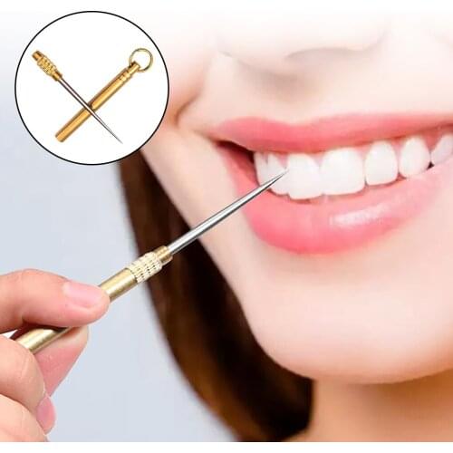 Portable Multifunctional Toothpick Camping Tool Bottle Fruit Fork Toothpick Barbecue Tooth Cleaning Supply with Holder