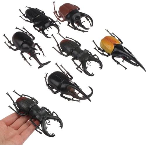 6 style 13cm simulation beetle Toys Special Lifelike Model Simulation insect Toy nursery teaching aids joke toys