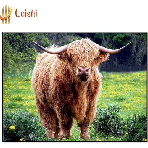 New Grassland, Dutch Highland Cattle crystal Round diamond painting diamond painting embroidery Home Decor diamond mosaic gift