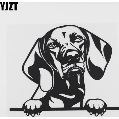 YJZT 17.5CMX15CM Funny Vizsla Dog Peeking Decal Vinyl Car Sticker Black/Silver 8A-0094